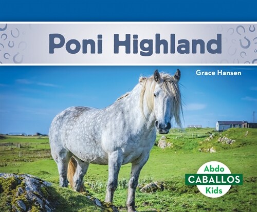 Poni Highland (Highland Ponies) (Library Binding)