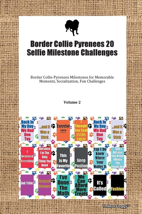 Border Collie Pyrenees 20 Selfie Milestone Challenges Border Collie Pyrenees Milestones for Memorable Moments, Socialization, Fun Challenges Volume 2 (Paperback)