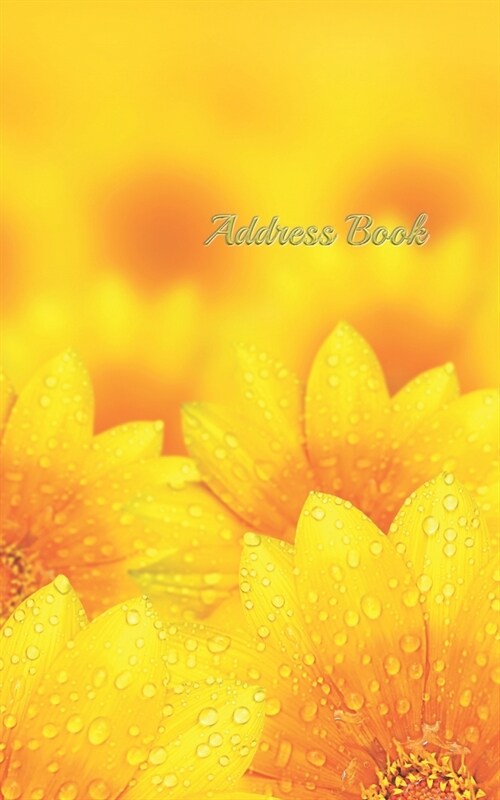 Address Book: 5x8 Small pocket size 120 pages with internet Password, Birthdays & Address Book for Contacts, Addresses, Phone Numb (Paperback)
