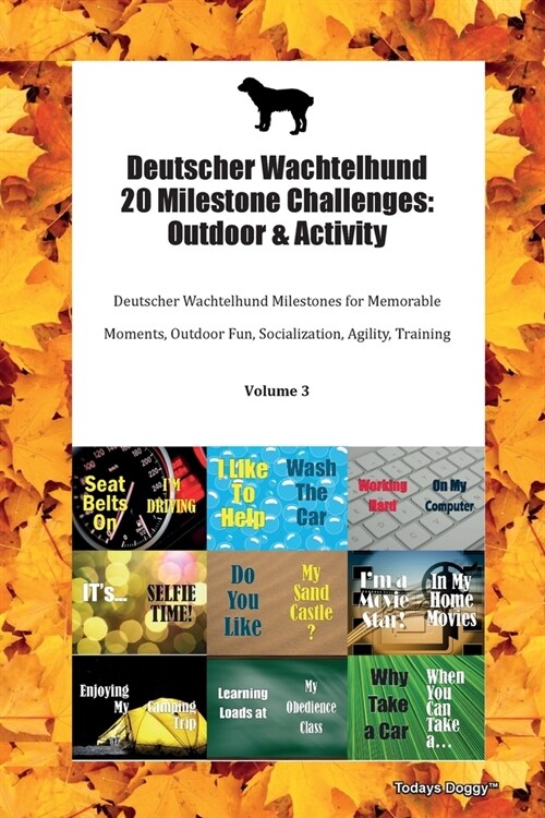 Deutscher Wachtelhund 20 Milestone Challenges: Outdoor & Activity Deutscher Wachtelhund Milestones for Memorable Moments, Outdoor Fun, Socialization, (Paperback)