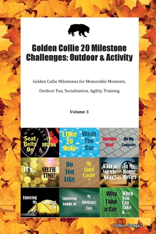 Golden Collie 20 Milestone Challenges: Outdoor & Activity Golden Collie Milestones for Memorable Moments, Outdoor Fun, Socialization, Agility, Trainin (Paperback)