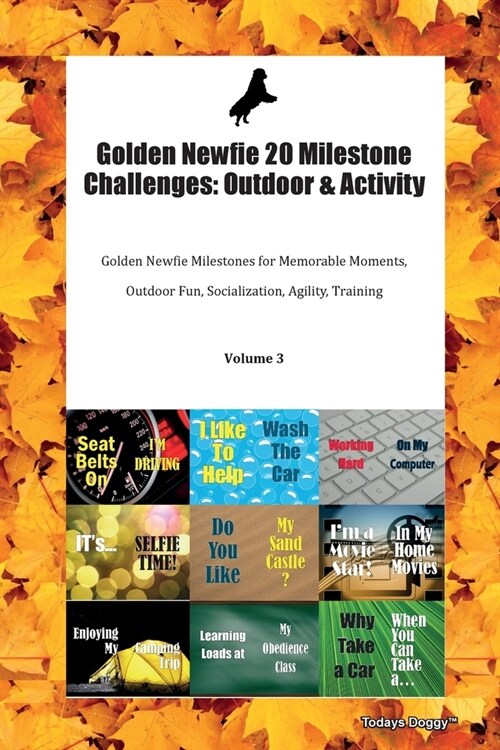 Golden Newfie 20 Milestone Challenges: Outdoor & Activity Golden Newfie Milestones for Memorable Moments, Outdoor Fun, Socialization, Agility, Trainin (Paperback)