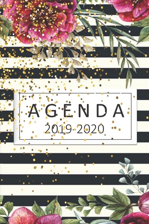 agenda 2019-2020: lindo organizador 2019-2020 del 1 de julio del 2019 al 31 de diciembre del 2020 diario semanal mensual (Paperback)