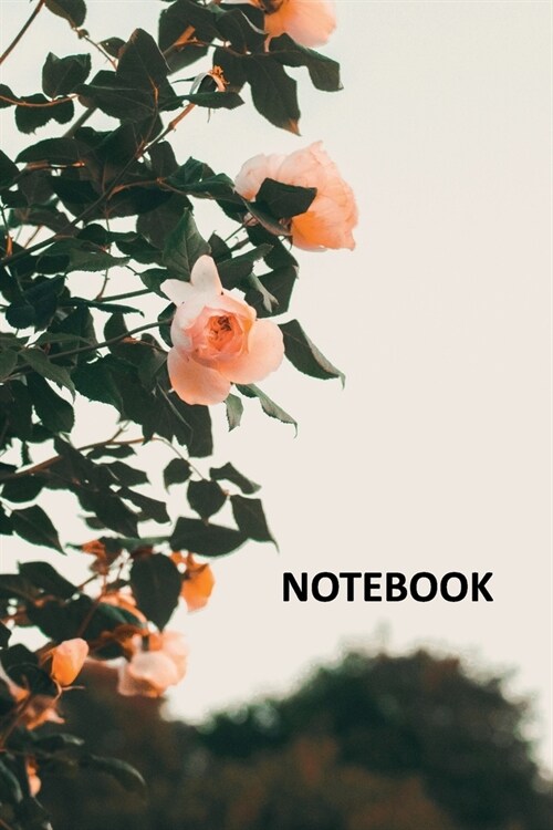 Notebook: Rose bush Handy Composition Book Daily Journal Notepad Diary Student flower themed gifts (Paperback)