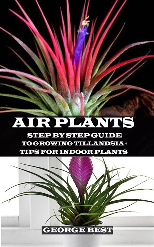 Air Plant: Step by Step Guide to Growing Tillandsia + Tips for Indoor Plants (Paperback)