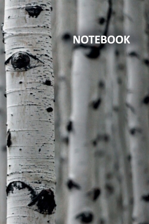 Notebook: Betula convenient Composition Book Daily Journal Notepad Diary Student for researching where do birch trees grow (Paperback)