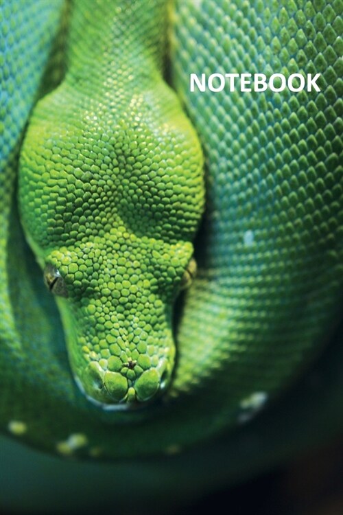 Notebook: Emerald tree boa Chic Composition Book Daily Journal Notepad Diary Student for researching captive bred snakes for sal (Paperback)
