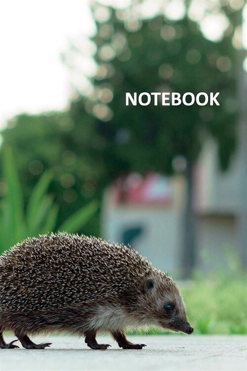 Notebook: Hoglet Professional Composition Book Daily Journal Notepad Diary Student for Researching hedgehog cage requirements (Paperback)