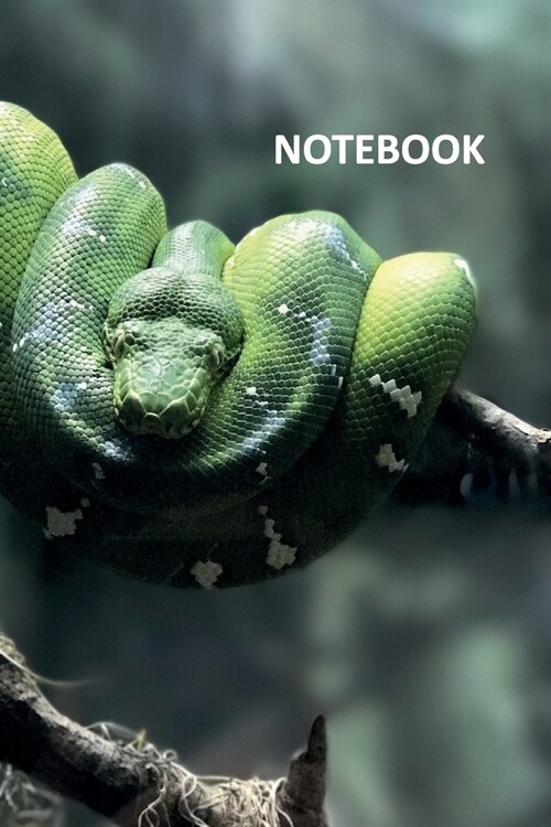 Notebook: Emerald tree boa Nifty Composition Book Daily Journal Notepad Diary Student for researching captive bred emerald tree (Paperback)