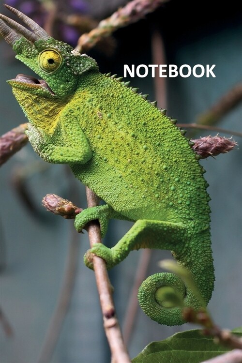 Notebook: Chameleon camouflage Handy Composition Book Daily Journal Notepad Diary Student for researching iridophore cells (Paperback)