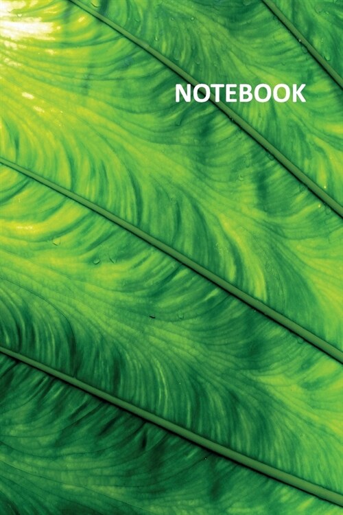 Notebook: Leaf photosynthesis helpful Composition Book Daily Journal Notepad Diary Student for noting macro photography ideas (Paperback)