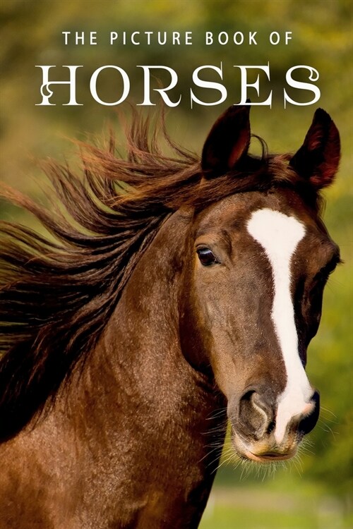 The Picture Book of Horses: A Gift Book for Alzheimers Patients and Seniors with Dementia (Paperback)