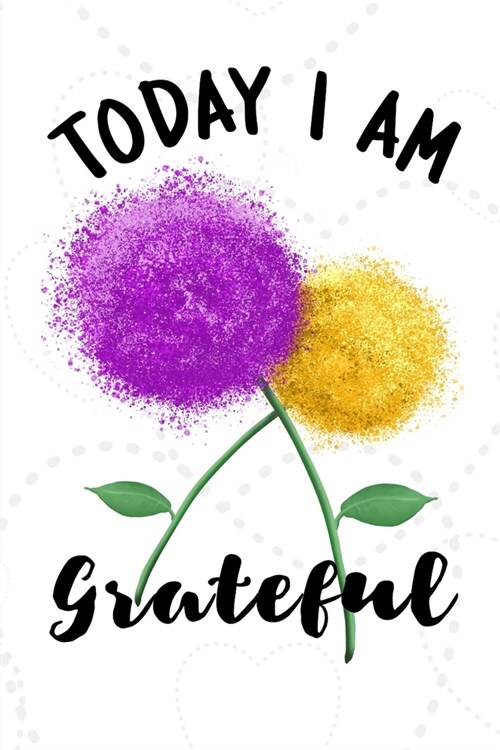 Today I Am Grateful Gratitude Notebook: Blank lined 6x9 Gratitude Journal (Paperback)