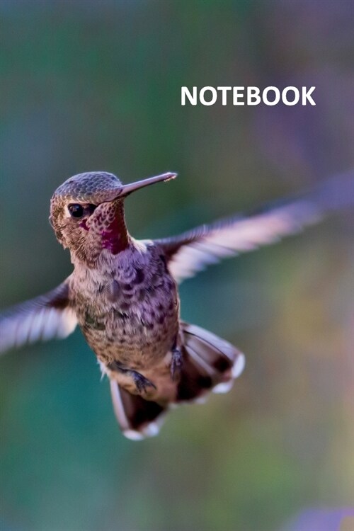 Notebook: Hummingbird gifts for mom Practical Composition Book Daily Journal Notepad Diary Student for research in identifying b (Paperback)