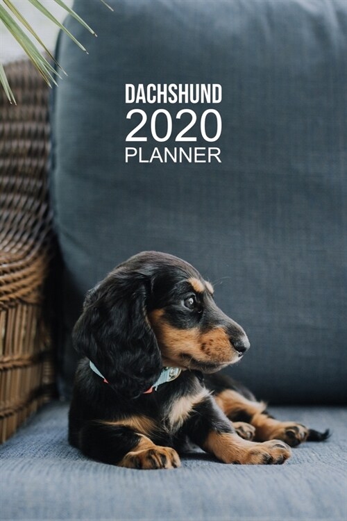 Dachshund Planner: 2020 diary: Increase productivity, improve time management, reach your goals: Beautiful Dachshund puppy cover (Paperback)