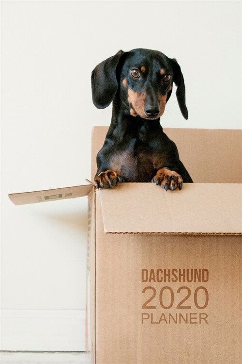 Dachshund Planner: 2020 diary: Increase productivity, improve time management, reach your goals: Cute Dachshund in a box cover (Paperback)