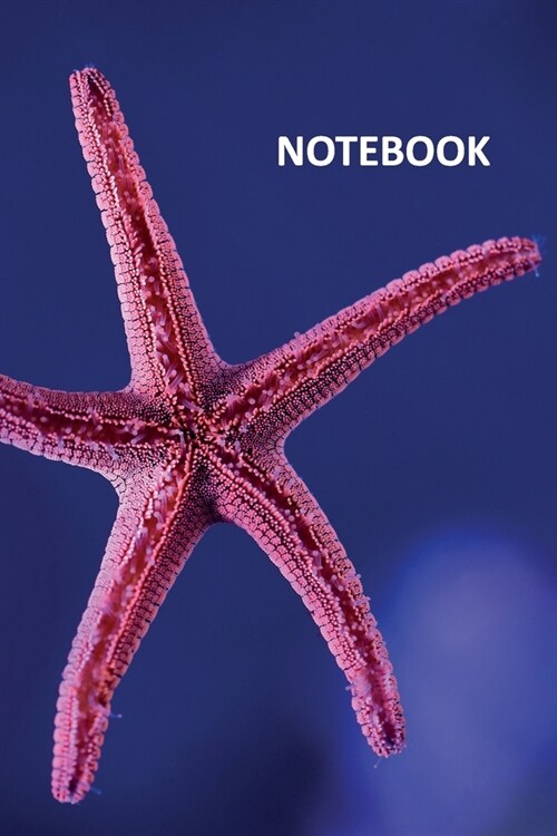 Notebook: Sea stars phylum Gorgeous Composition Book Daily Journal Notepad Diary Student for research on starfish tattoo meaning (Paperback)