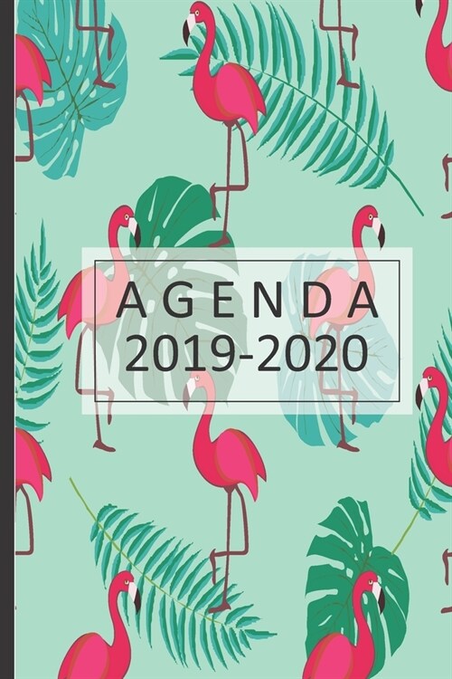 agenda 2019-2020: lindo planificador 2019-2020 del 1 de julio del 2019 al 31 de diciembre del 2020 diario semanal mensual (Paperback)