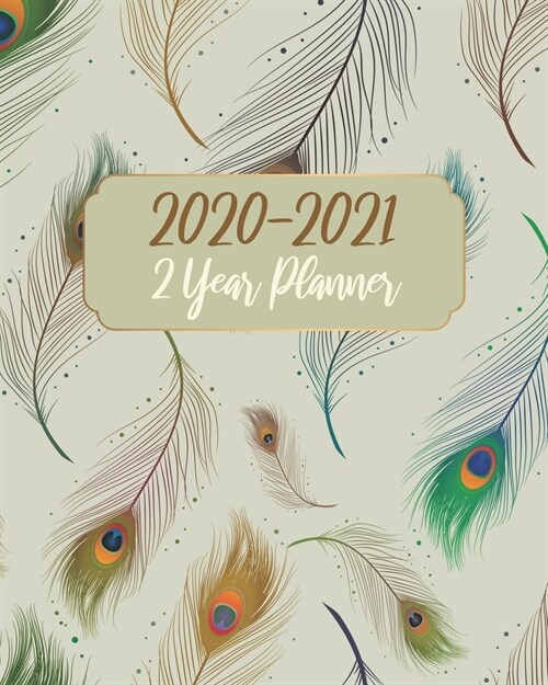 2020-2021 2 Year Planner: Feathers, 24 Months Planner Calendar Track And To Do List Schedule Agenda Organizer January 2020 to December 2021 With (Paperback)