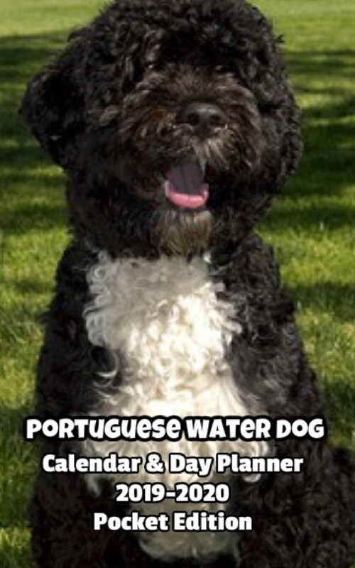 Portuguese Water Dog Calendar & Day Planner 2019-2020 Pocket Edition (Paperback)