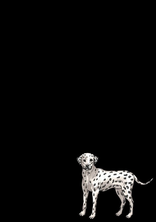 Dalmatian Dog Journal: Blank Lined Pet Puppy Notebook For Girls (Paperback)