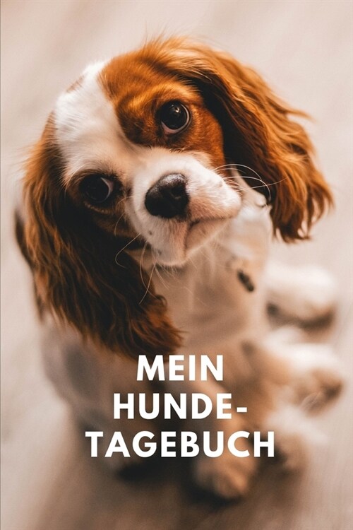 Mein Hundetagebuch: Ein cooles Notizheft, Tagebuch f? Hundeliebhaber, Haustier Tagebuch (ca. DIN A5), 110 karierte Seiten. (Paperback)