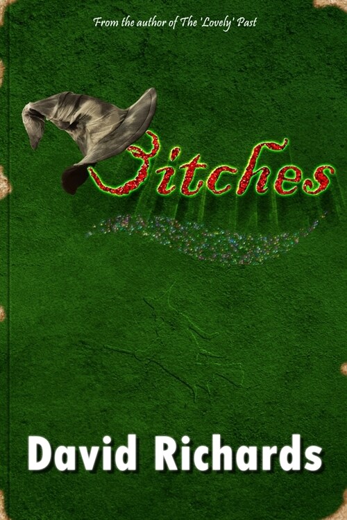 Bitches (Paperback)