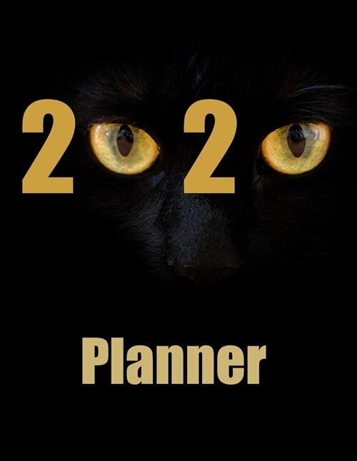 2020 Planner: One year - Monthly and Weekly Calendar with 10 journal pages for notes. Large 8.5 x 11 paperback book. Cat eyes cove (Paperback)