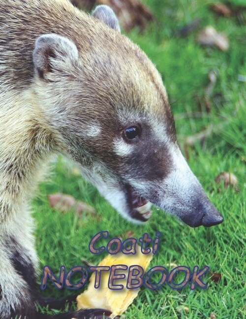 Coati NOTEBOOK: Notebooks and Journals 110 pages (8.5x11) (Paperback)