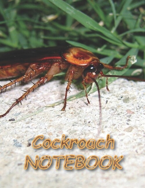 Cockroach NOTEBOOK: Notebooks and Journals 110 pages (8.5x11) (Paperback)