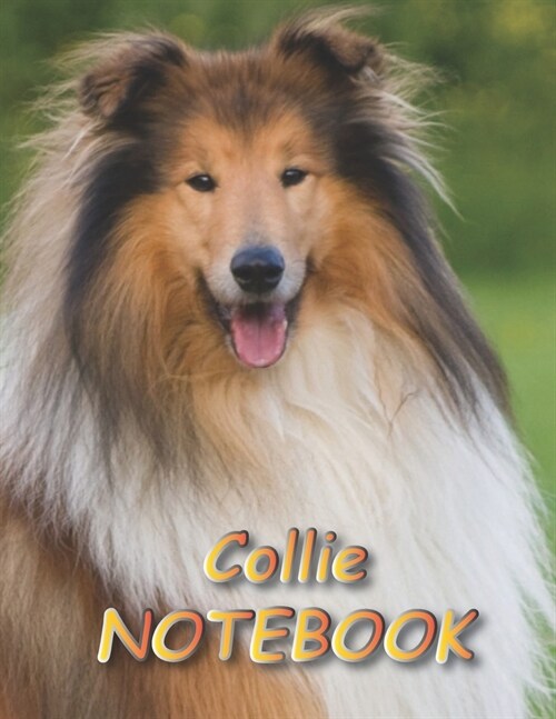 Collie NOTEBOOK: Notebooks and Journals 110 pages (8.5x11) (Paperback)