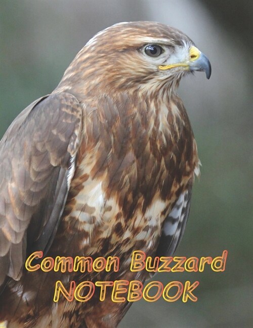Common Buzzard NOTEBOOK: Notebooks and Journals 110 pages (8.5x11) (Paperback)