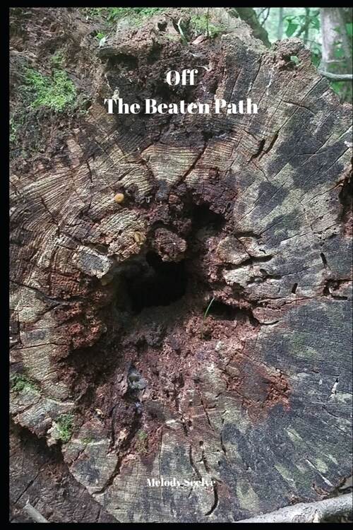 Off the Beaten Path: Daily Planner 2020 (Paperback)