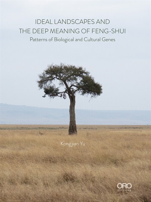 Ideal Landscapes the Deep Meaning of Feng Shui: Patterns of Biological and Cultural Genes (Paperback)