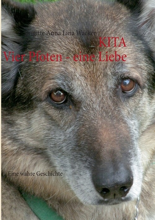 Kita Vier Pfoten - eine Liebe: Eine wahre Geschichte (Paperback)