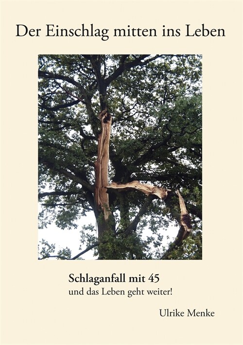 Der Einschlag mitten ins Leben: Schlaganfall mit 45 und das Leben geht weiter! (Paperback)