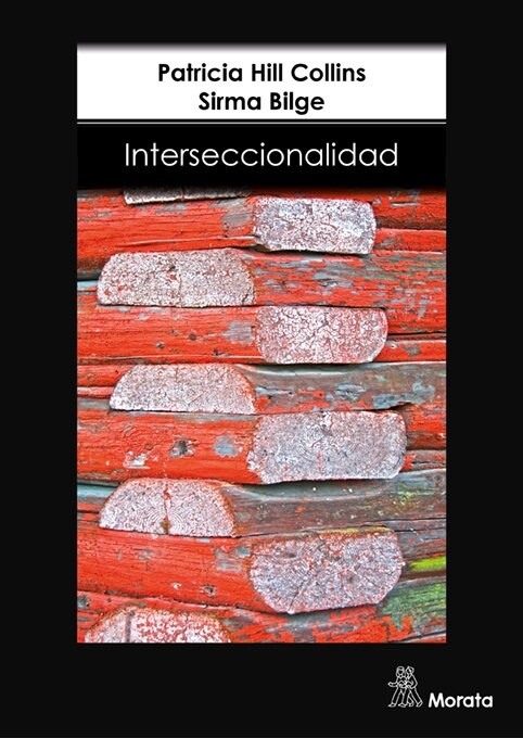 INTERSECCIONALIDAD (Other Book Format)