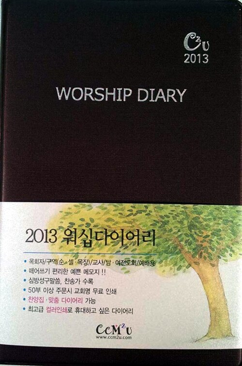 [브라운] 2013 Worship Diary 대(大)