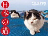 日本の猫巖合光昭カレンダ- (2020)
