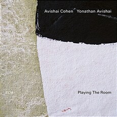 Avishai Cohen Playing The Room