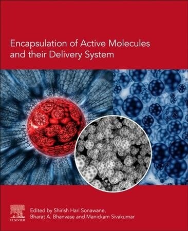 Encapsulation of Active Molecules and their Delivery System (Paperback)