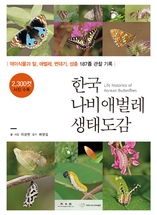 한국 나비애벌레 생태도감= Life histories of Korean butterflies: 먹이식물과 알, 애벌래, 번데기, 성충 187종 관찰 기록