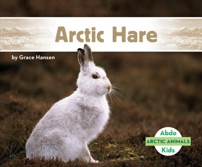 Arctic Hare (Library Binding)