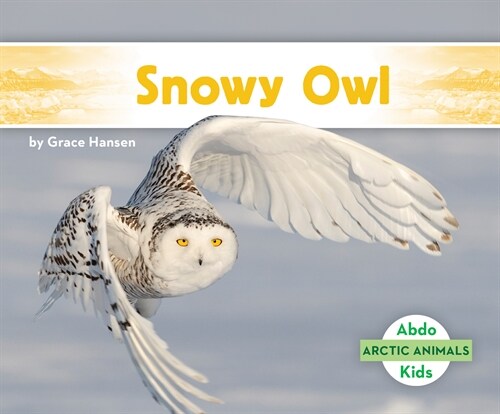 Snowy Owl (Library Binding)