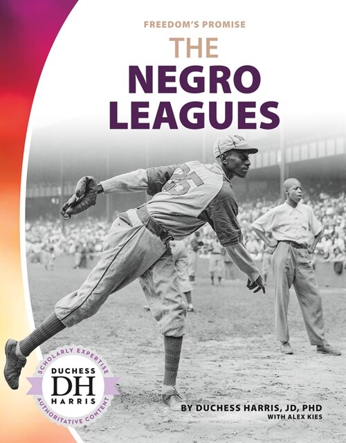 The Negro Leagues (Library Binding)