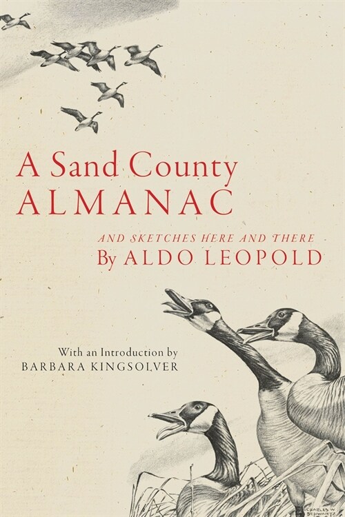 A Sand County Almanac: And Sketches Here and There (Paperback)