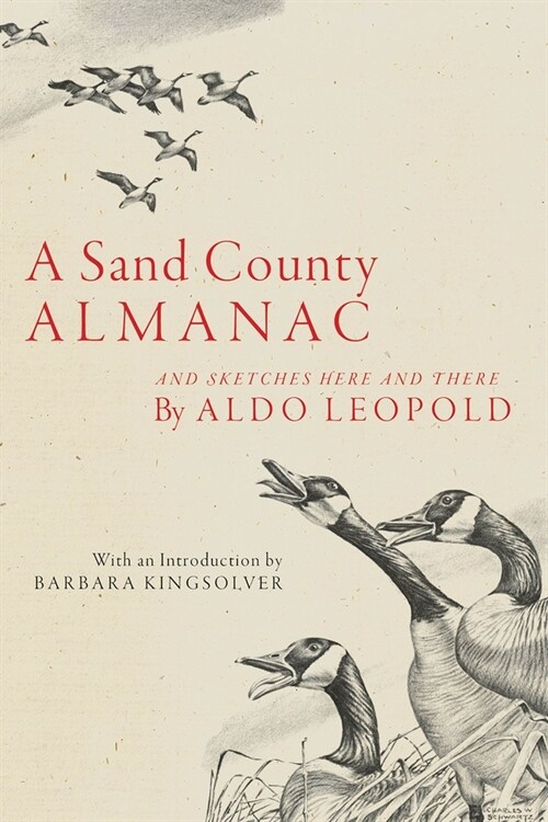 Sand County Almanac: And Sketches Here and There (Paperback)