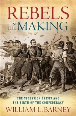 Rebels in the Making: The Secession Crisis and the Birth of the Confederacy (Hardcover)