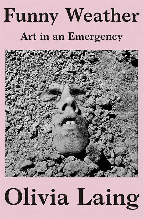 Funny Weather: Art in an Emergency (Hardcover)