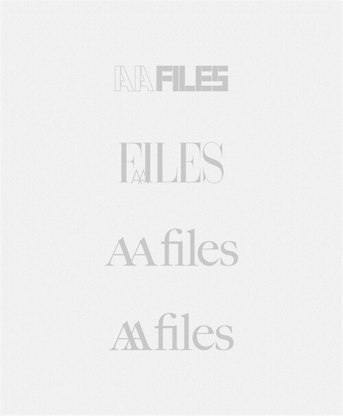 AA Files X (Paperback)
